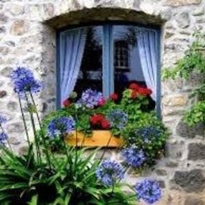 Meet your Posher, Carol